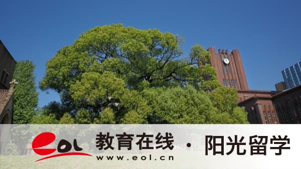 新西兰动画专业本科留学怎么申请？申请优势有哪些？